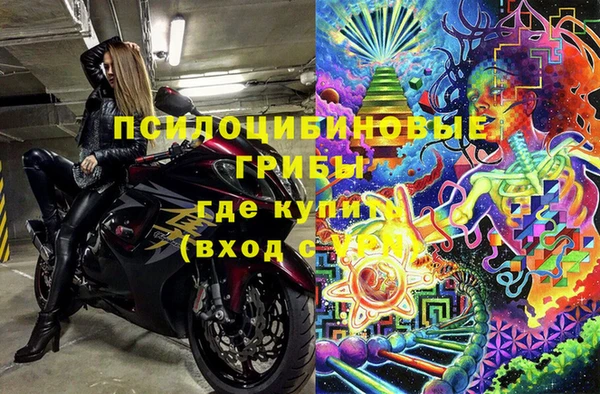 марки lsd Абаза